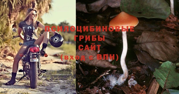 герыч Аркадак