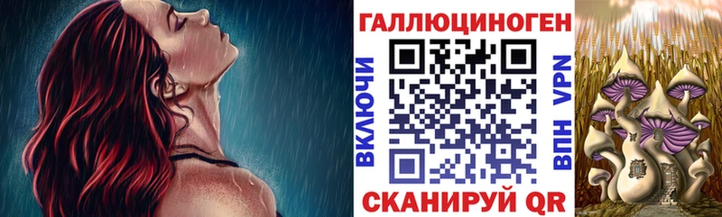hydra онион  Приозерск  Галлюциногенные грибы Psilocybine cubensis  цена  